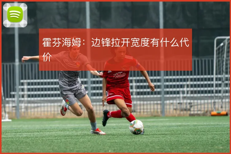 霍芬海姆:边锋拉开宽度有什么代价